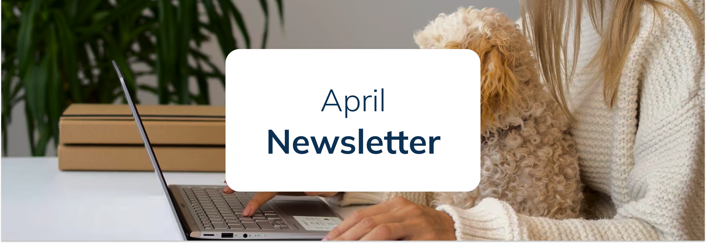 April newsletter - new releases from SimplyMeet.me
